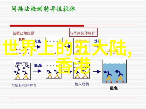 酒井法子验毒报告出炉遭延押10天