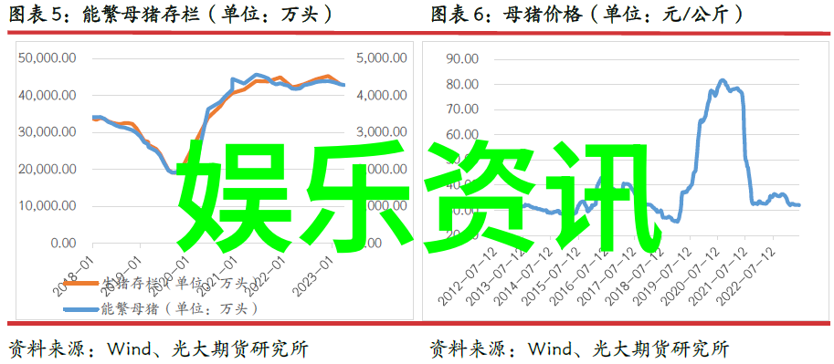 星辰之下影幕无限手机上的天空影院