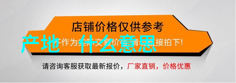 中国十大网红风采颜值担当时尚先锋