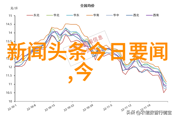 时尚界的盛宴镜头下的流行风潮