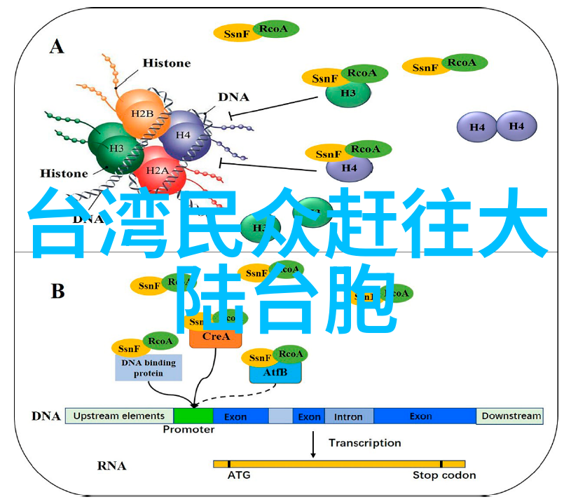 影视界的奇幻之旅探索如如影视独特的艺术世界