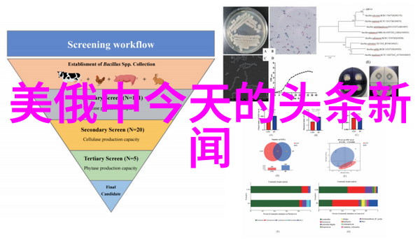 关于台湾的最新消息新闻我看了最近的新闻竟然发现台湾有个小地方变成了世界最长的巷弄这条街全长大约3公里