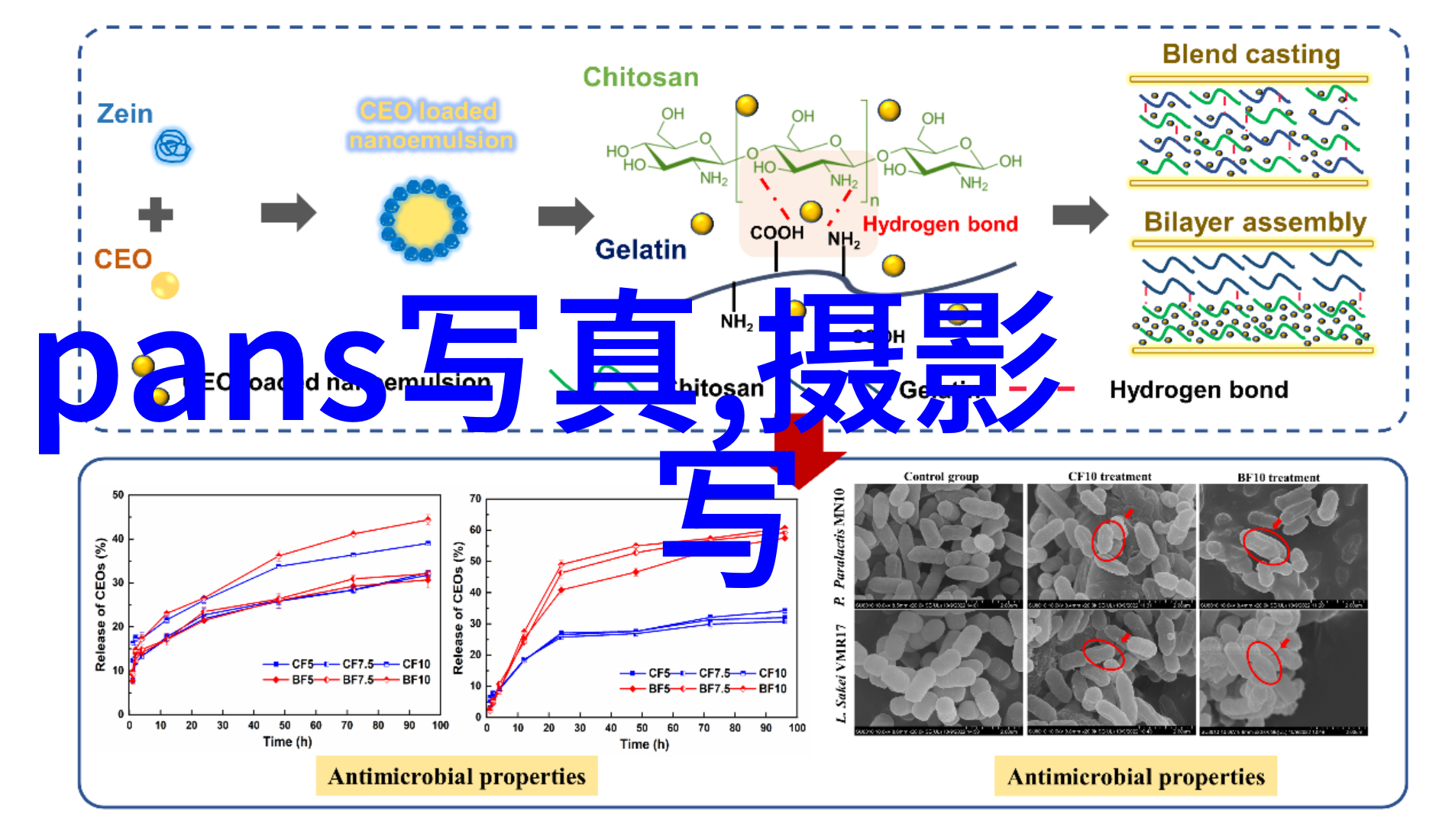 解锁太极八卦图的奥义寻找真正的内在力量