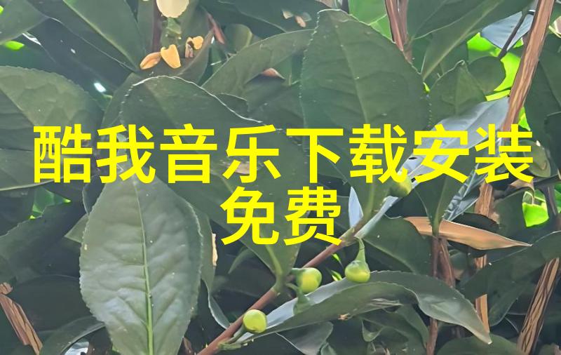 音乐节与科技融合音响革命又如何提升现场体验