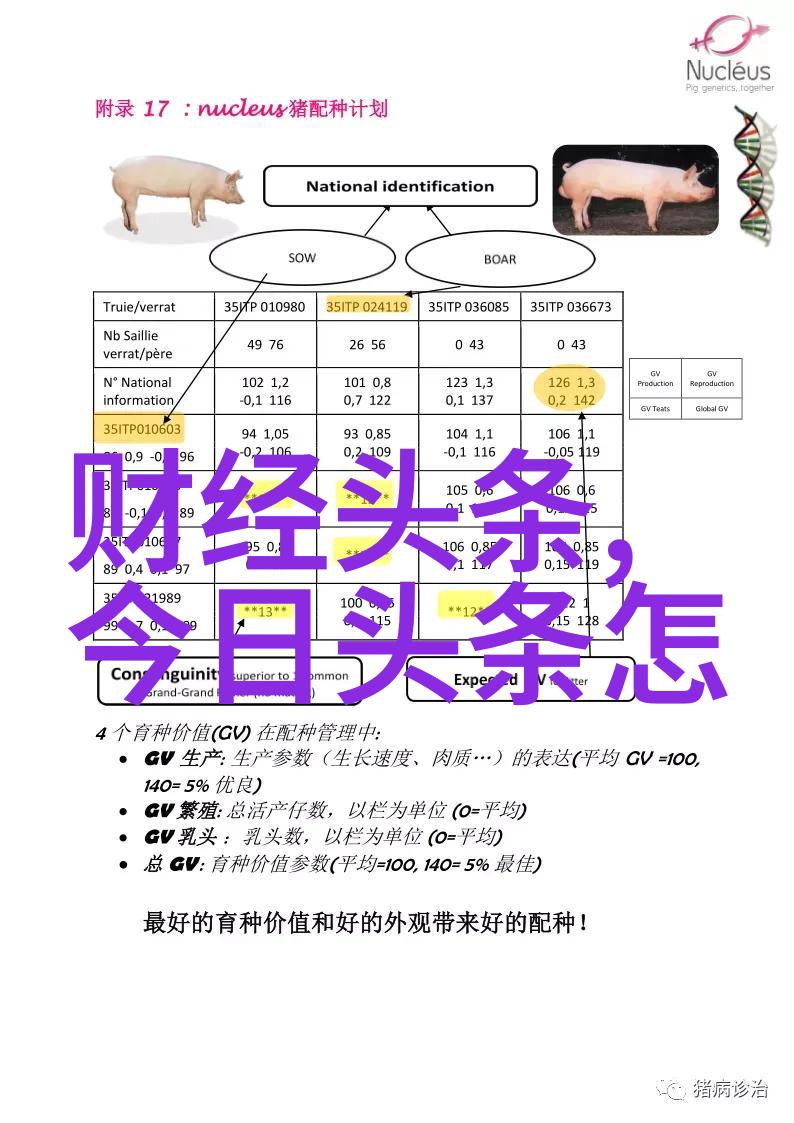 2021年回顾瞬间与故事的图片时光长卷