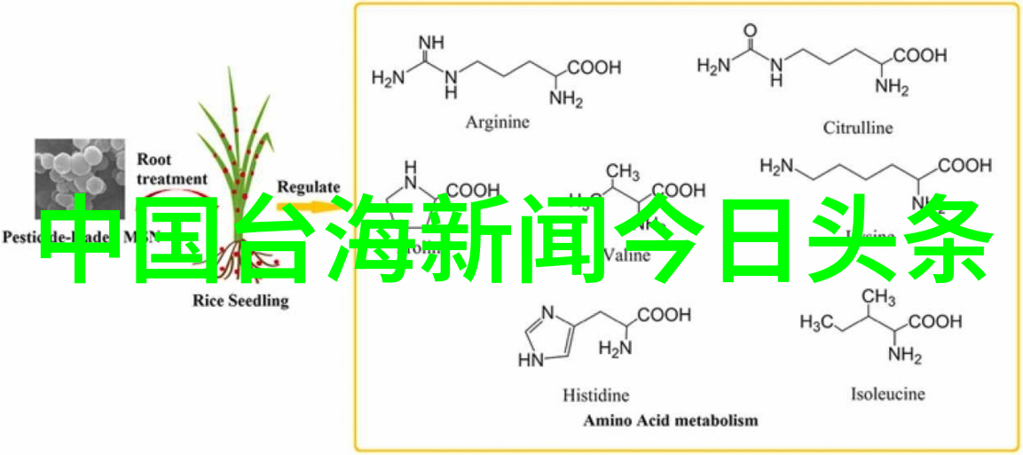 八卦中方位代表着宇宙和人生的五行八卦的深远意义