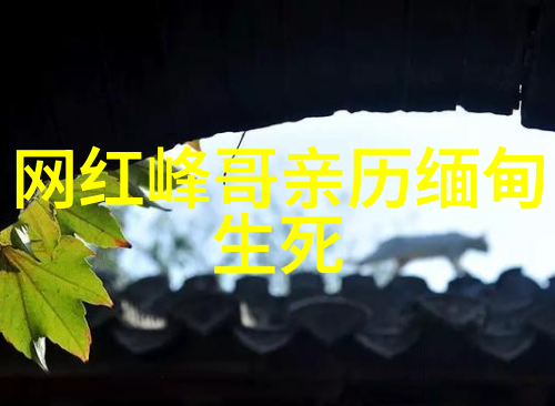 如何将时尚服装与个人风格相结合