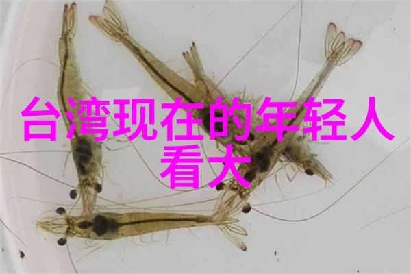 逆袭的公交路线两个人背后的故事与前方的追逐