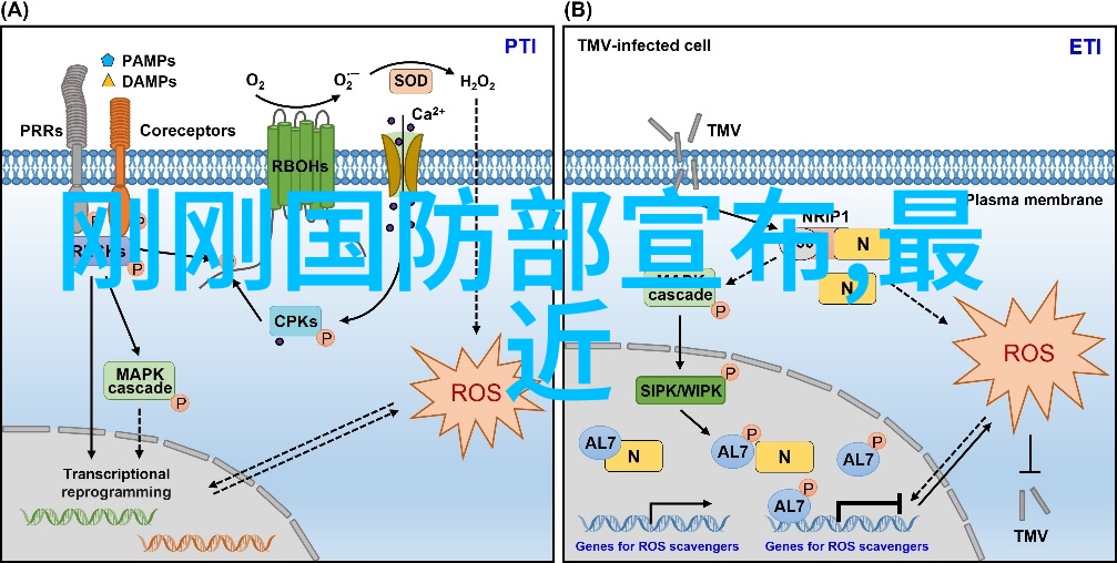 古树参天  古木参天历史长河里的见证者