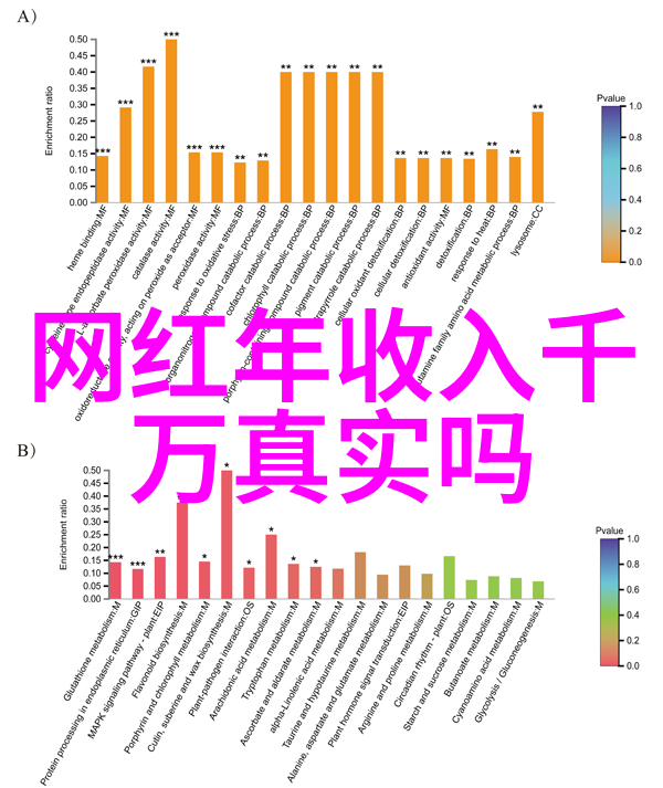 杨颖从女儿红到欢乐颂一路走来