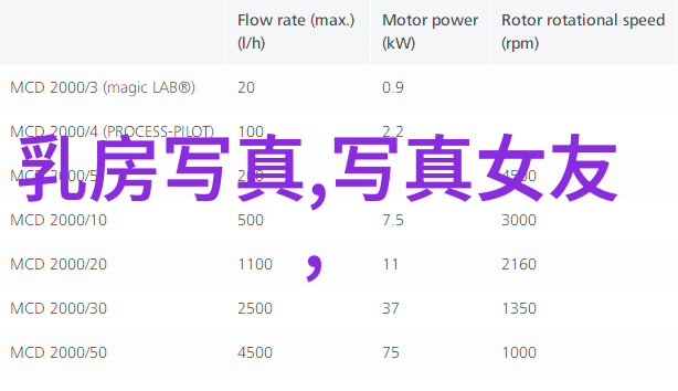 结案报告总结