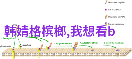 在恋爱综艺阴阳怪气后爆红了 - 情感火花与笑语风暴如何让一场恋爱综艺成为网红的起点