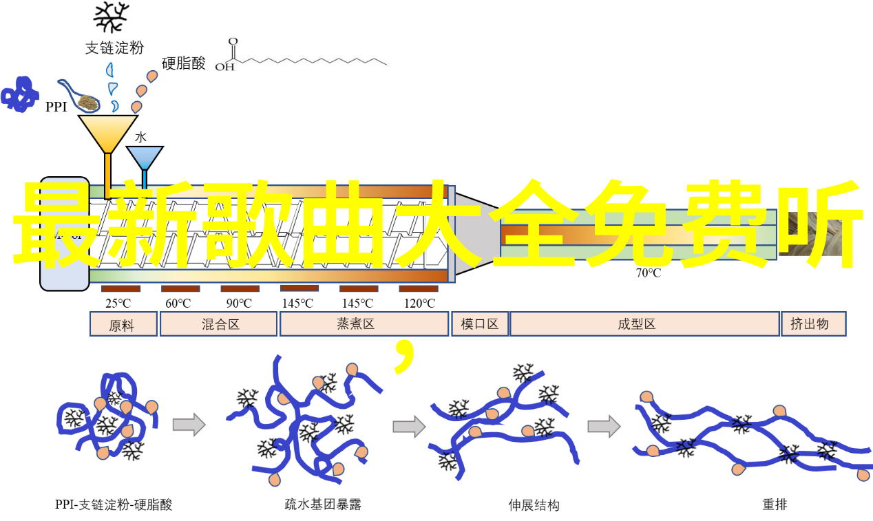 探索电影天堂传奇故事与永恒光芒