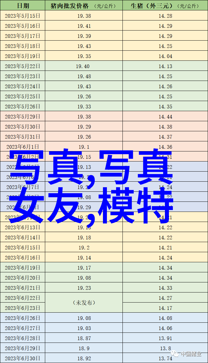 陈妍希跨越东南西北的旅程