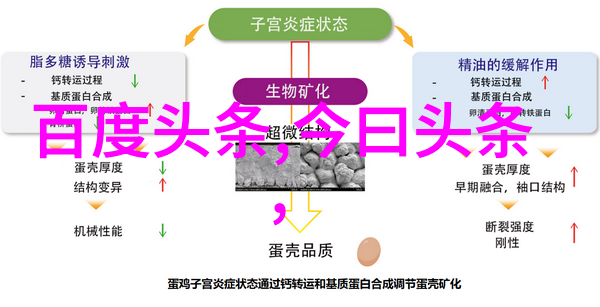 算命真的准吗揭秘风水占星的神秘力量