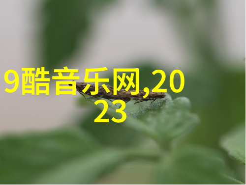 碧波荡漾静谧湖光下的绚丽盛宴