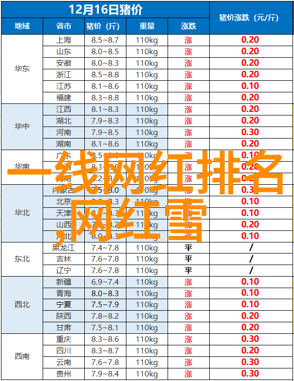 从初学者到专业人士写真机教程一站式解析