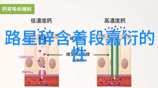 网红摩托车手重庆隧道内不幸遇难引发社会关注