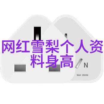 科技产品评测-16gipad轻巧设计与强劲性能的平板电脑新贵