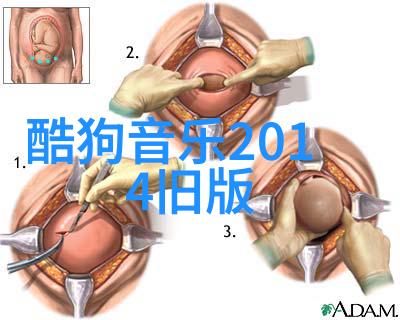 秘密的视界一本藏匿着未解之谜的图片大全图册