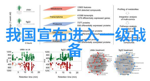 夏季女装搭配技巧轻盈时尚的夏日风情