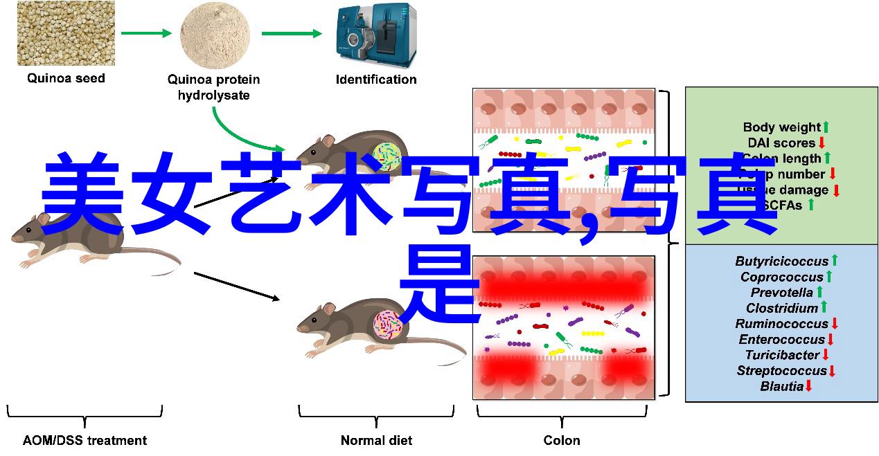 为什么网红总是那么完美