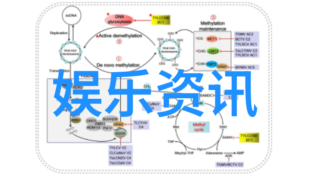 揭秘女明星自残内幕 大S剪肉乐基儿狂放血