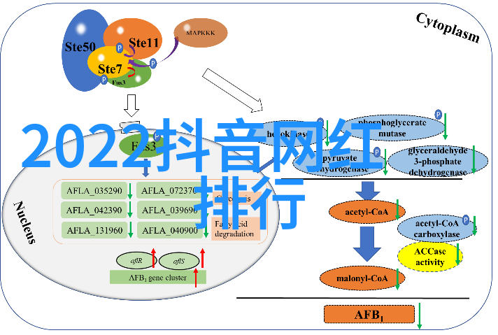 娱乐圈背后的权力游戏潜规则之王的崛起与辉煌