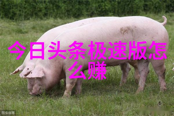 台湾现状分析政治经济与社会的新格局