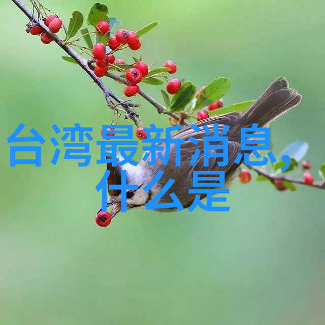 中文字幕乱码免费看电影-影视奇迹如何在互联网上找到高质量的中文字幕乱码电影