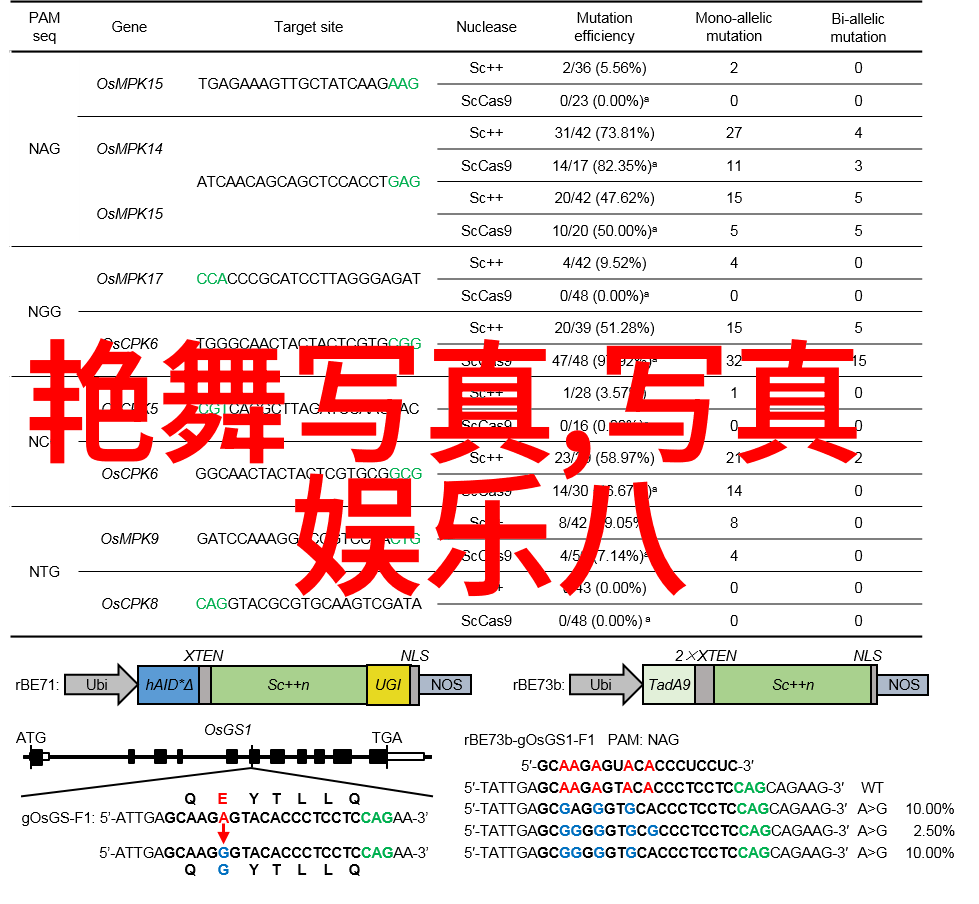 电影中的八角笼影视叙事的隐喻空间