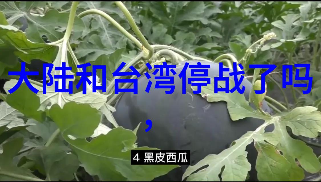 慈禧秘密生活高清完整K8 - 宫中花影揭秘慈禧帝后生平真相