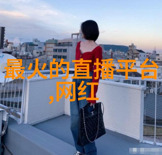 经典款式与现代感相结合女秋套裙探秘