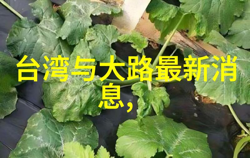 我可以如何利用八字命盘来选择合适的职业和生活方式