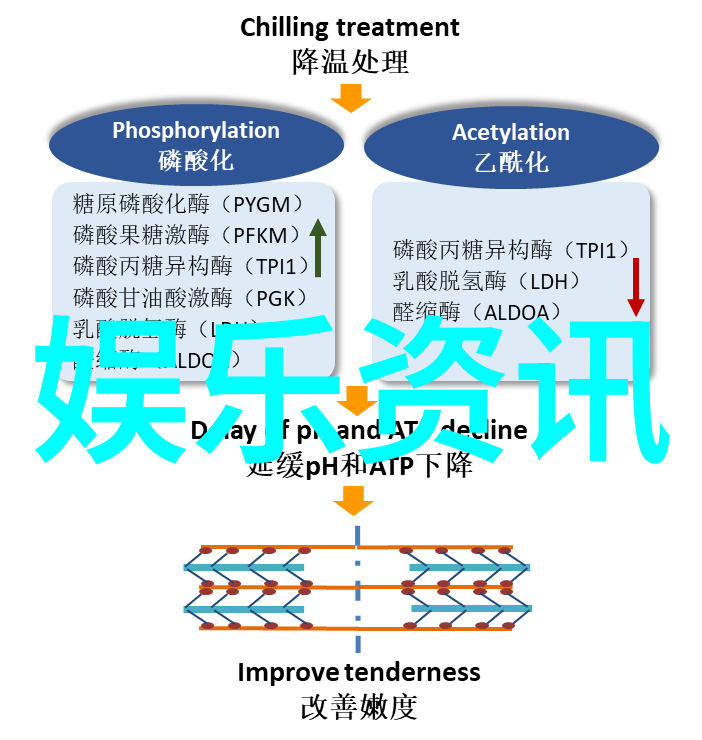 台海风云变幻新一轮军事演习引发外界猜测