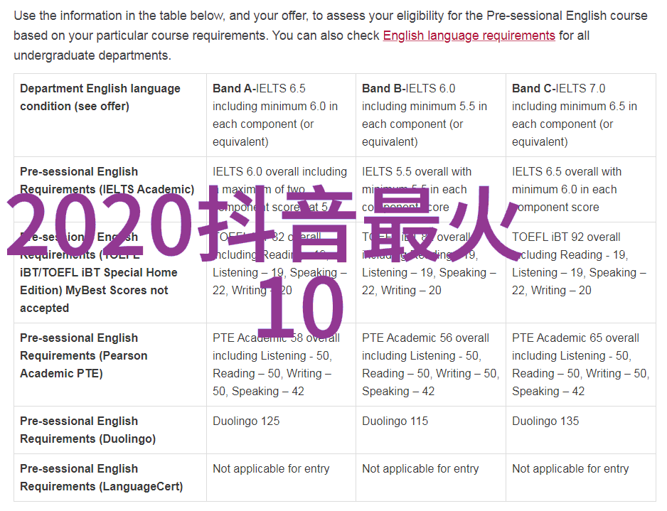 激情燃烧的舞台追求梦想不畏艰难