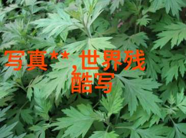 未来几年网友会更偏爱哪种风格的头像图片