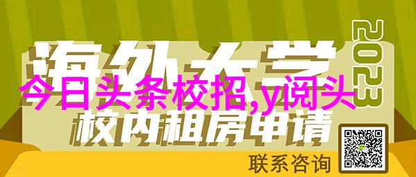 从镜头到画布汤加丽如何将生活转化为艺术作品