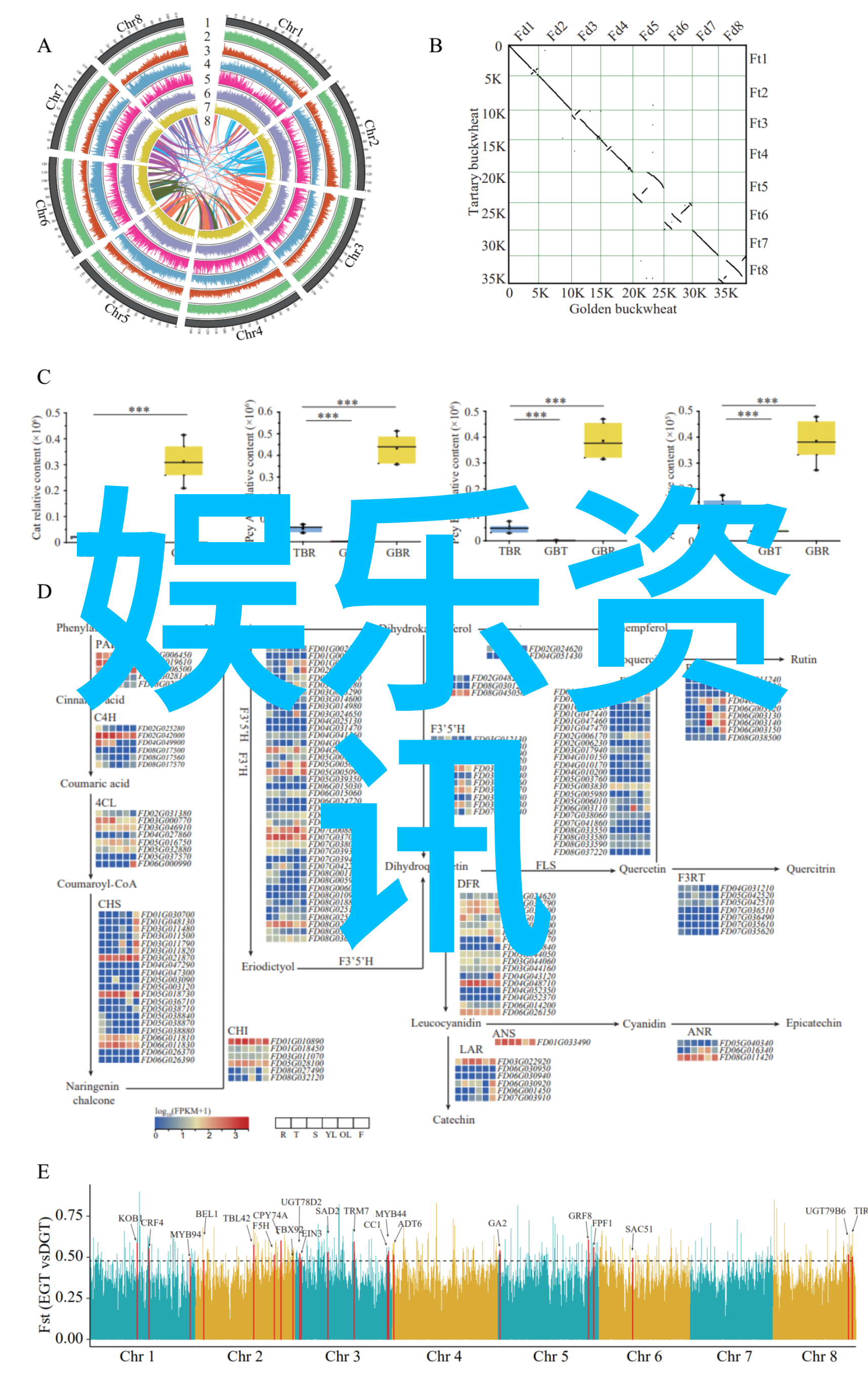 揭秘天地之运八卦入门基础知识合集