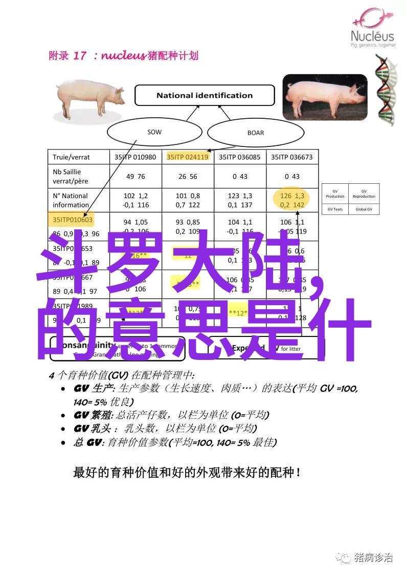 今日热血加盟金靖杨超越冬梦之约第2季准备好滑雪新体验了吗