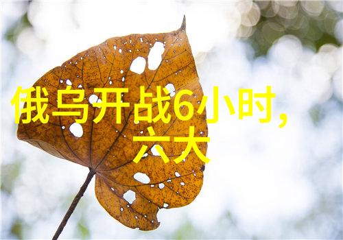 明星写真 - 闪耀时尚探索红毯上的摄影艺术