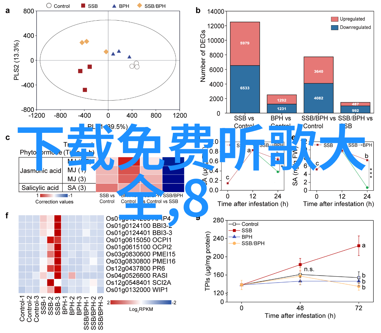 AI换脸JENNIE向上射水我用AI换了JENNIE的脸但没想到她居然在视频里向上射水