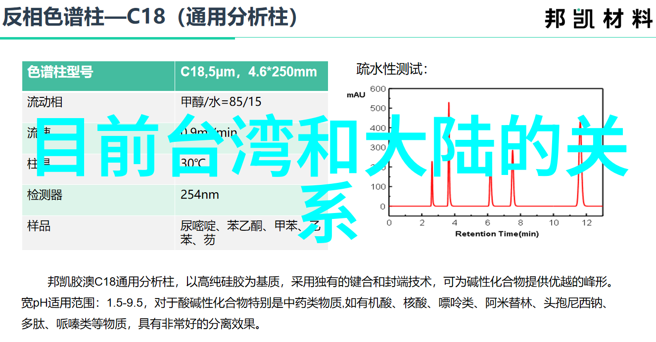 校园美丽与才华的完美融合学霸伴侣