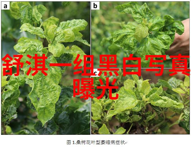 我来告诉你八卦中方位代表什么