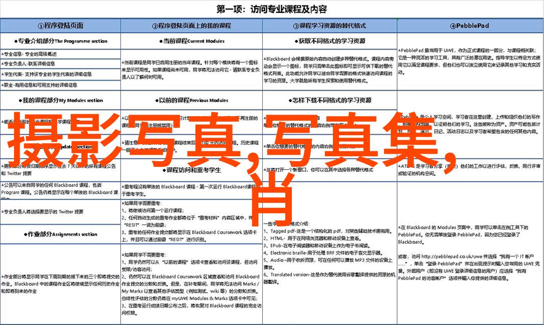 法律大师与错案复仇拯救最后希望