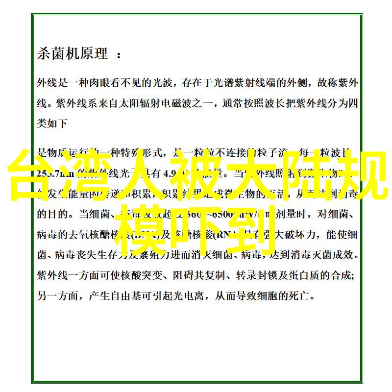 揭秘八卦网站趣味爆料与时事热点的完美结合