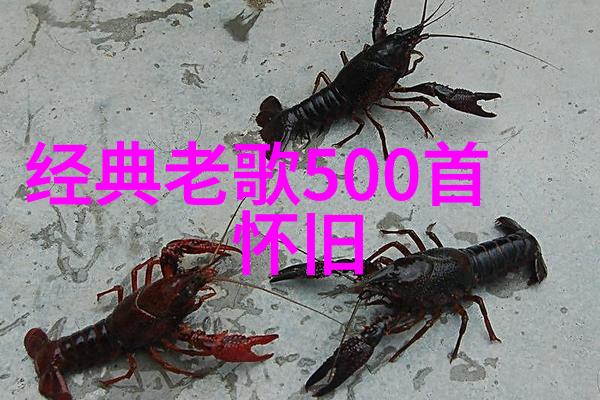 未来的城市规划将以生物多样性为核心推动绿色建筑革命