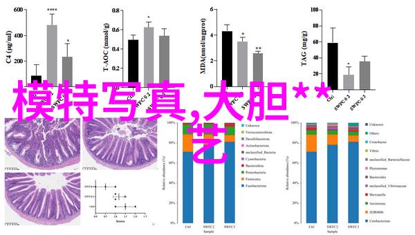 随着数字货币兴起旅游业界是否需要重新评估支付系统