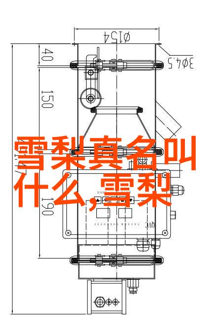 邓伦李沁恋情领证2021年的甜蜜告白