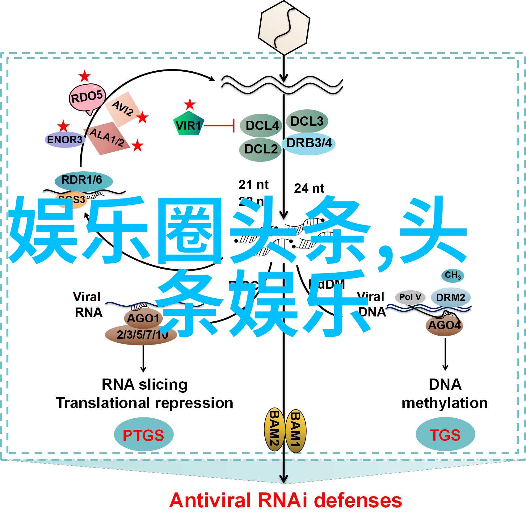 秘密教学全集结局揭秘免费探索知识的终极之谜